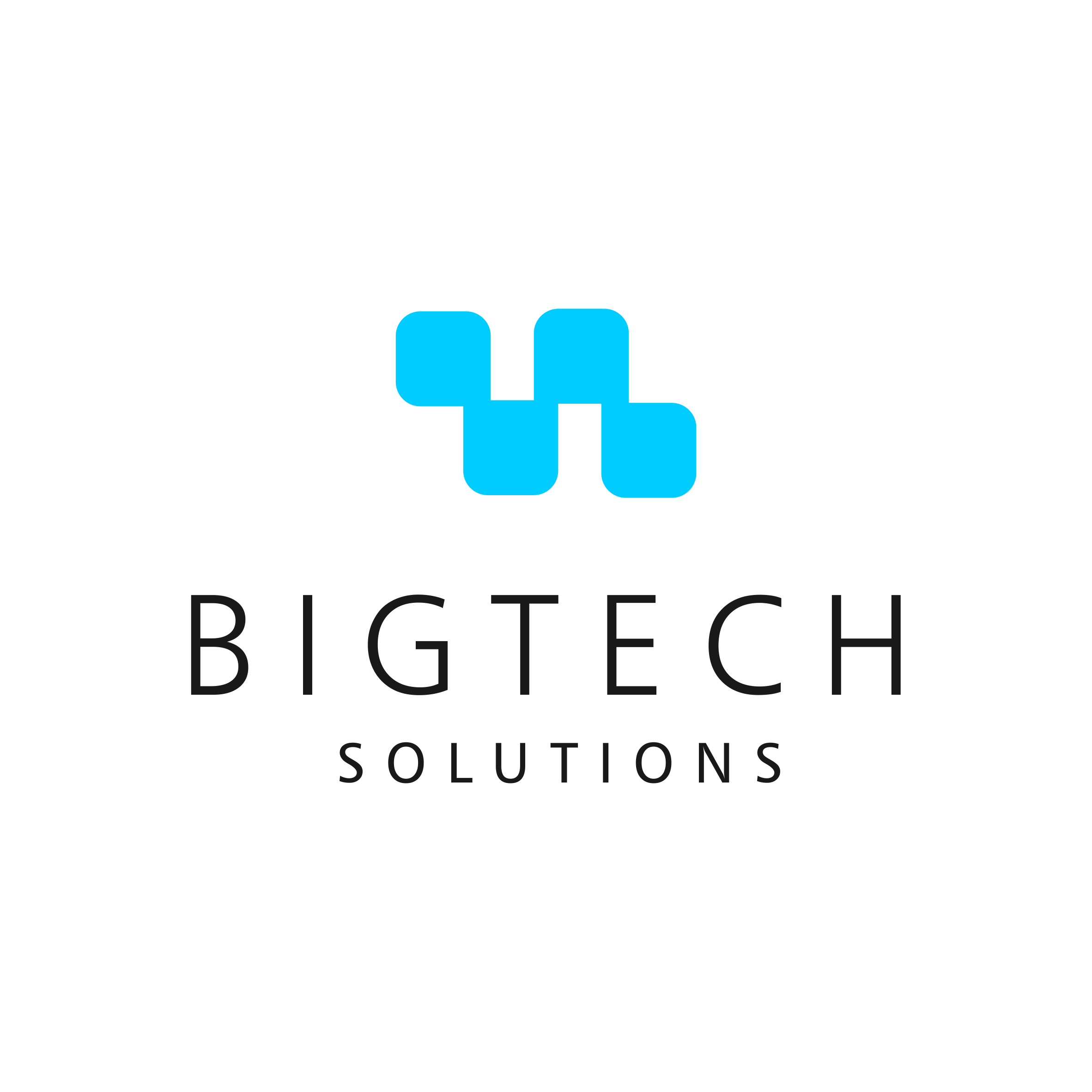 Bigtech Solutions Teknoloji A.Ş. Logosu