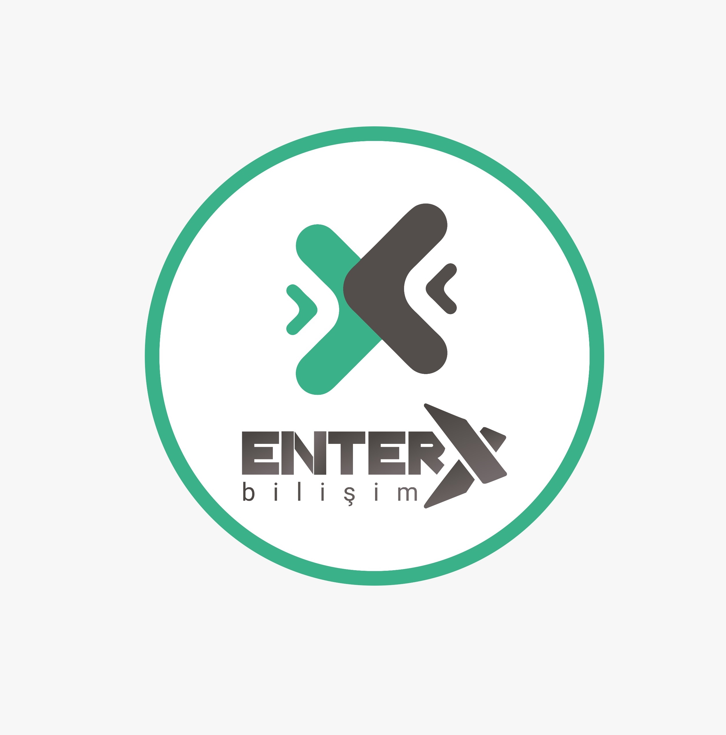 EnterX Bilişim Logosu