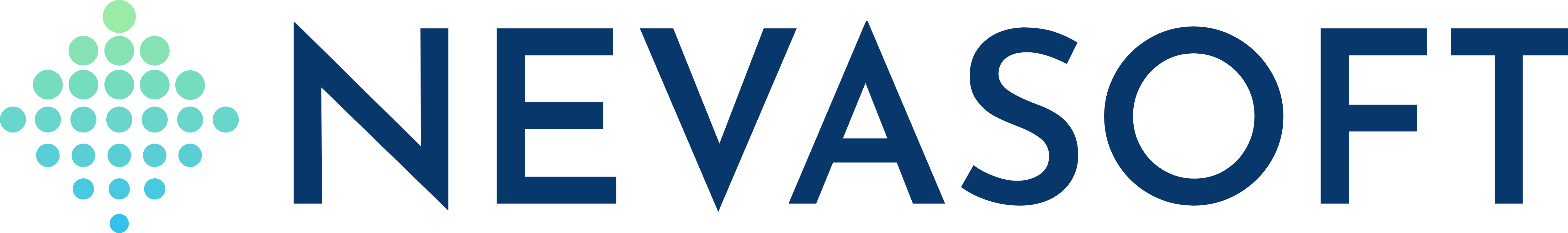 NevaSoft Logosu
