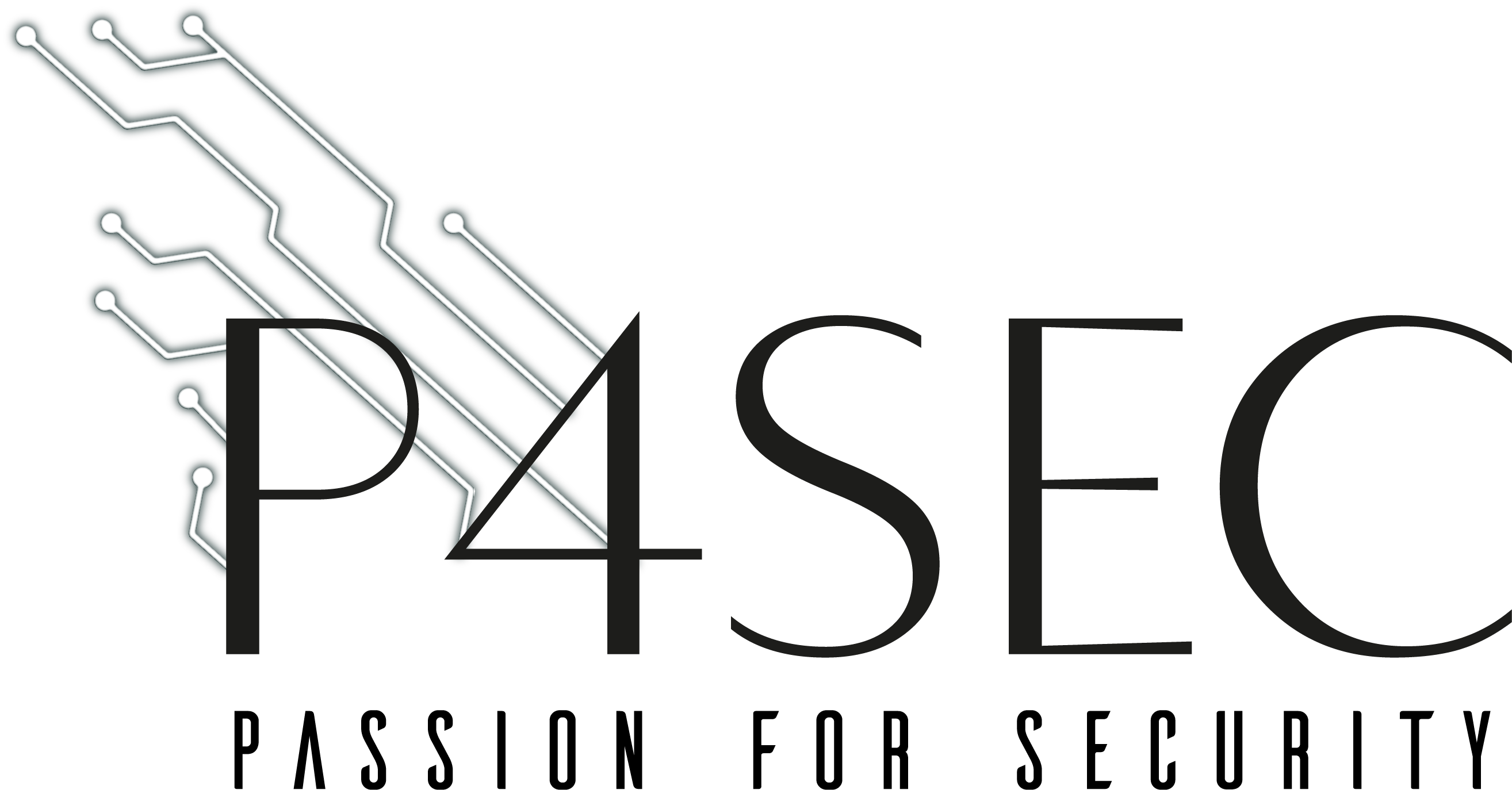 P4SEC  Logosu